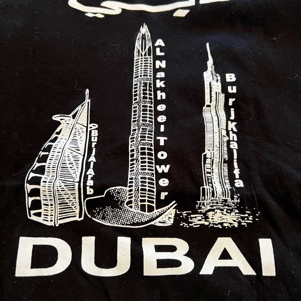 Men’s evolve 2XL Black white Dubai Skyline Men's Tee shirt